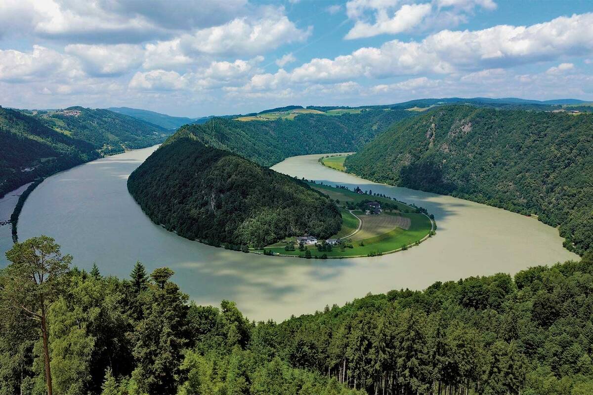 Die Schlögener Schlinge in Oberösterreich, wo sich die Donau in einer spektakulären Doppelschleife durch die bewaldeten Hügel des Mühlviertels windet.