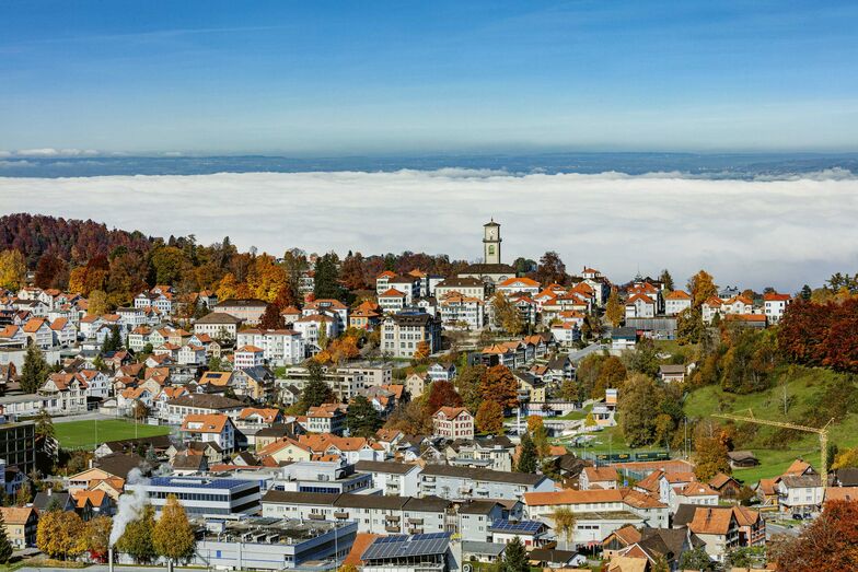 Blick über die Gemeinde mit über dem Bodensee liegenden Nebelmeer.