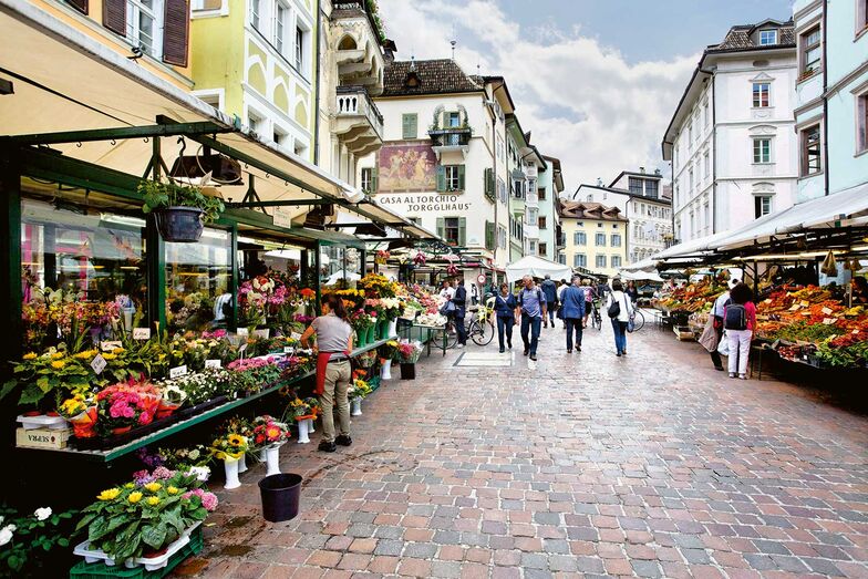 Im Tal wandert man durch Obstbäume und Rebberge oder flaniert durch die städtischen Zentren des Südtirols.