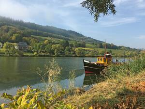 Herbstliche Morgenidylle am Moselufer.