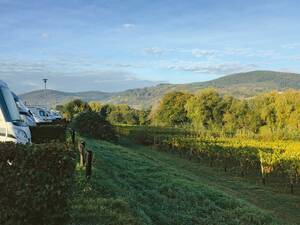 Camper entre les vignes : ici sur l'emplacement du Juffer Winzer près de Brauneberg.