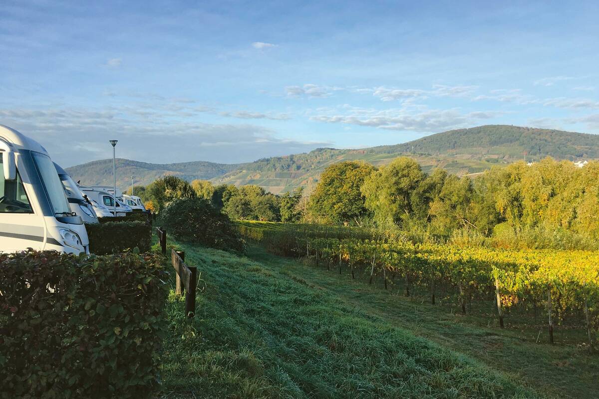 Camper entre les vignes : ici sur l'emplacement du Juffer Winzer près de Brauneberg.
