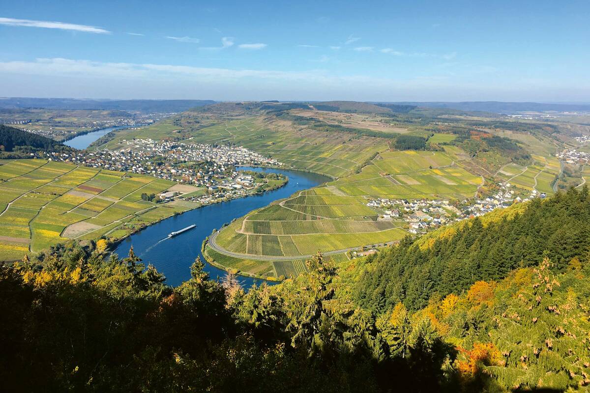Les chemins de randonnée aménagés au-dessus de la vallée de la Moselle permettent de jouir d’une vue superbe sur les nombreux et larges méandres de la rivière.