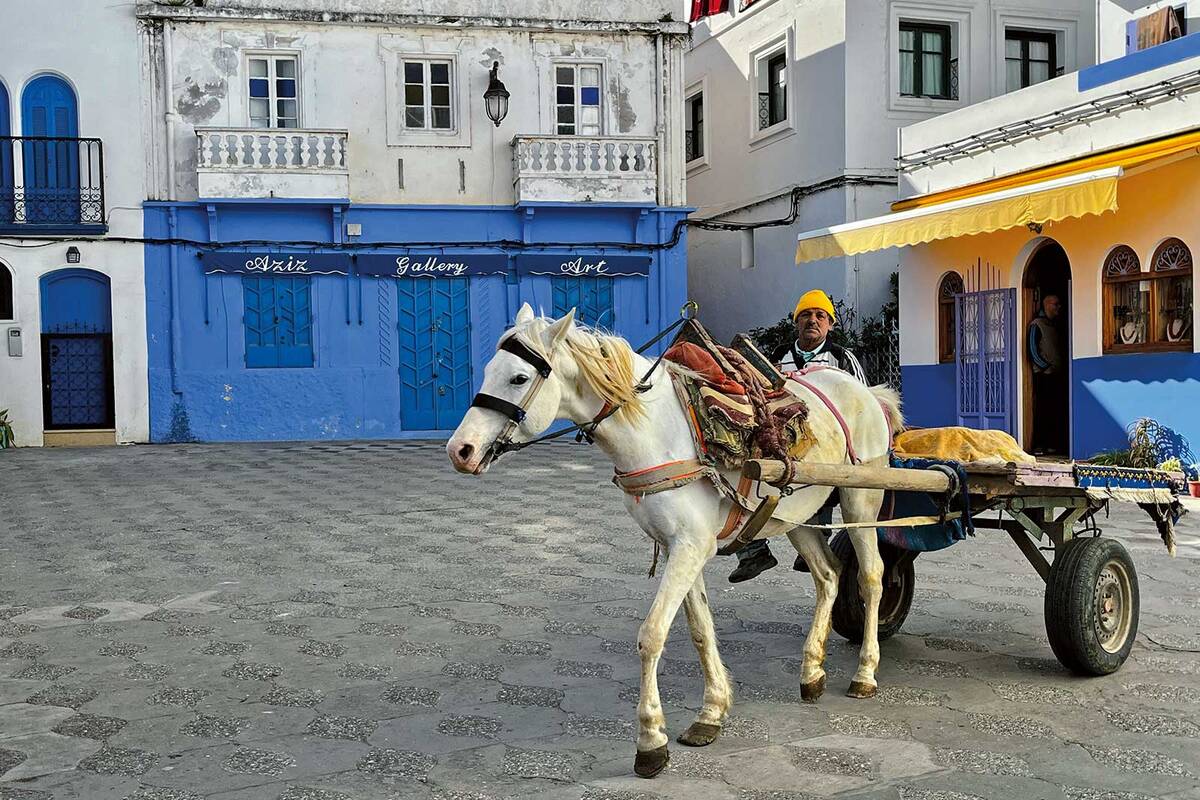 Die Kleinstadt Asilah – Marokkos Künstlermetropole mit wunderschöner historischer Altstadt.