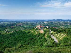 Blick über die Weinregion und die Burg von Dobrovo.